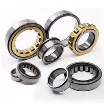 FAG NU313-E-M1-F1-T51F  Cylindrical Roller Bearings