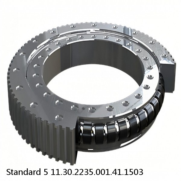 11.30.2235.001.41.1503 Standard 5 Slewing Ring Bearings