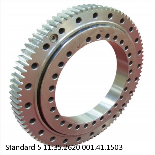 11.35.2620.001.41.1503 Standard 5 Slewing Ring Bearings