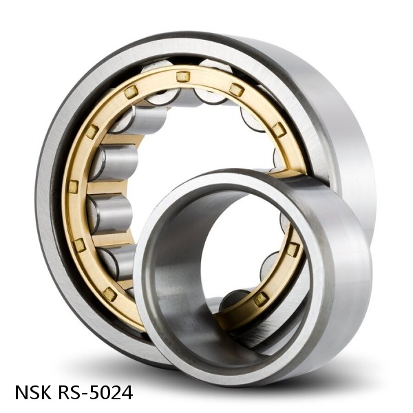 RS-5024 NSK CYLINDRICAL ROLLER BEARING