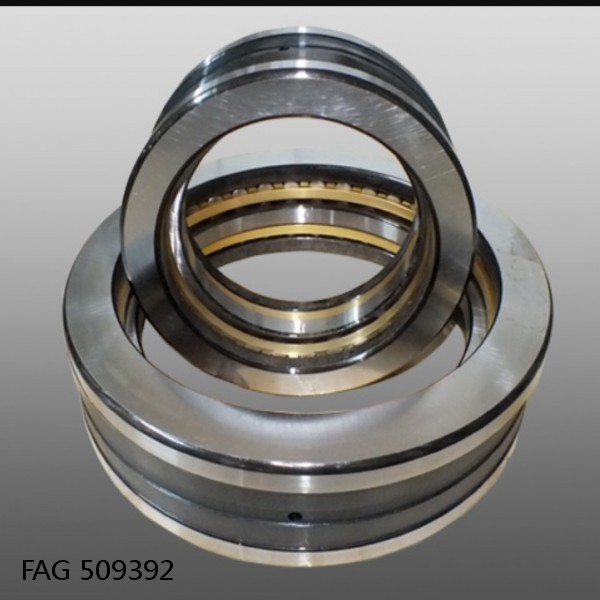 FAG 509392 DOUBLE ROW TAPERED THRUST ROLLER BEARINGS