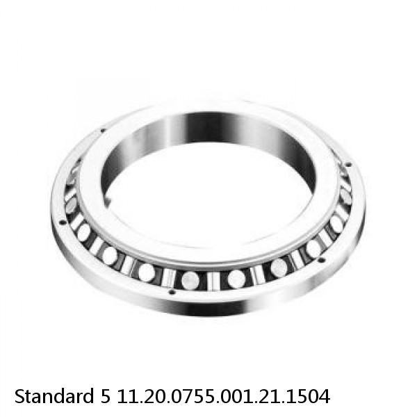 11.20.0755.001.21.1504 Standard 5 Slewing Ring Bearings