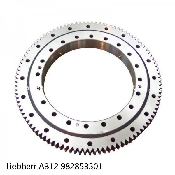 982853501 Liebherr A312 Slewing Ring