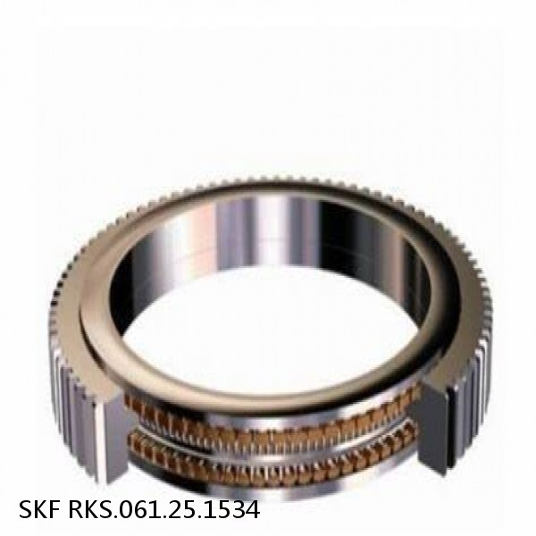 RKS.061.25.1534 SKF Slewing Ring Bearings