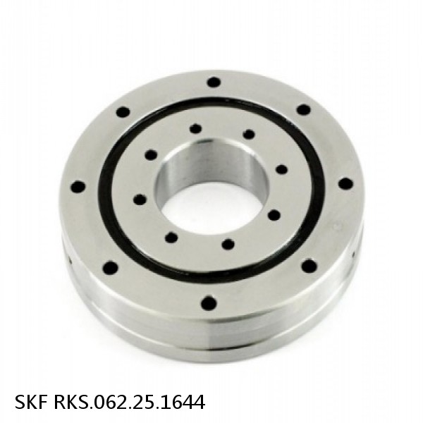 RKS.062.25.1644 SKF Slewing Ring Bearings