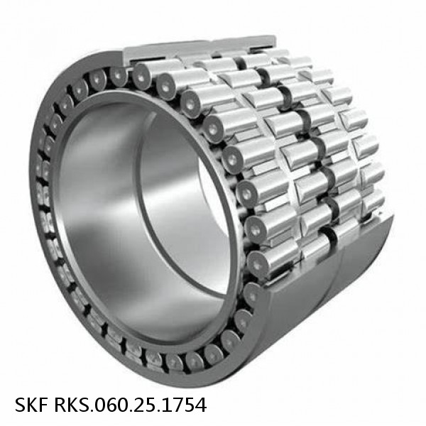 RKS.060.25.1754 SKF Slewing Ring Bearings