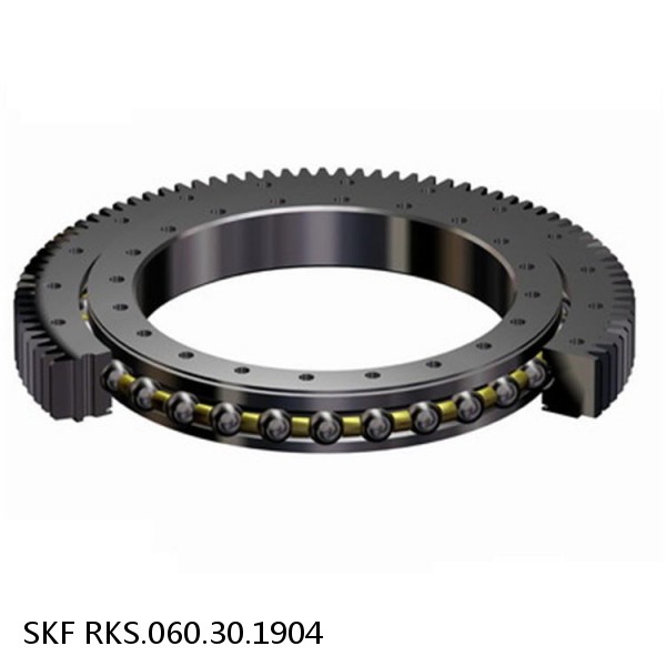 RKS.060.30.1904 SKF Slewing Ring Bearings