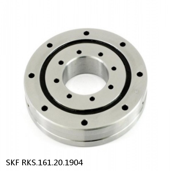 RKS.161.20.1904 SKF Slewing Ring Bearings