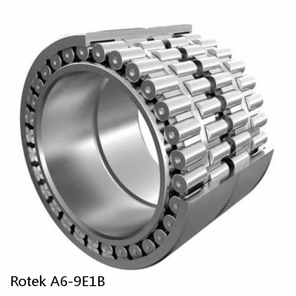 A6-9E1B Rotek Slewing Ring Bearings