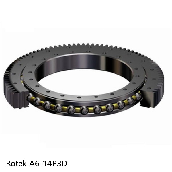 A6-14P3D Rotek Slewing Ring Bearings