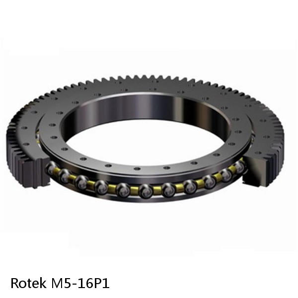 M5-16P1 Rotek Slewing Ring Bearings