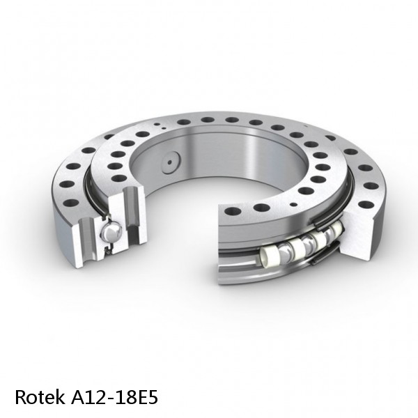 A12-18E5 Rotek Slewing Ring Bearings