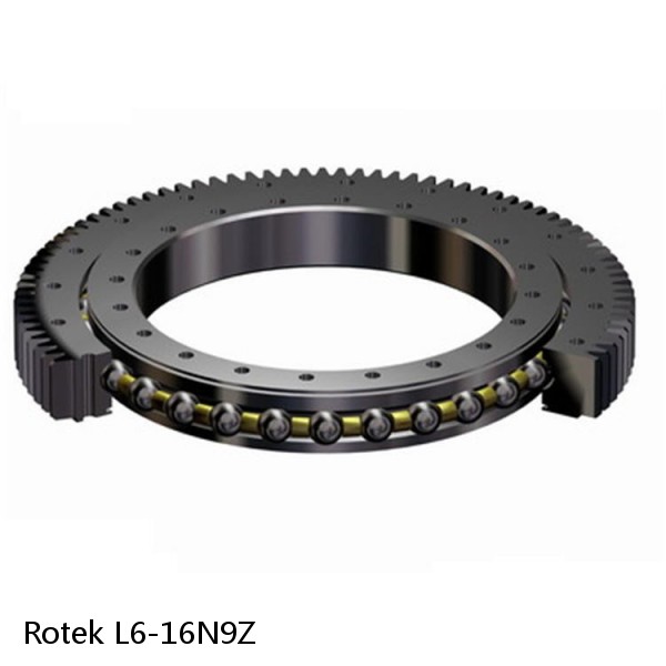 L6-16N9Z Rotek Slewing Ring Bearings