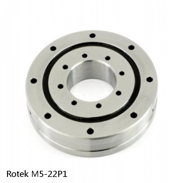 M5-22P1 Rotek Slewing Ring Bearings