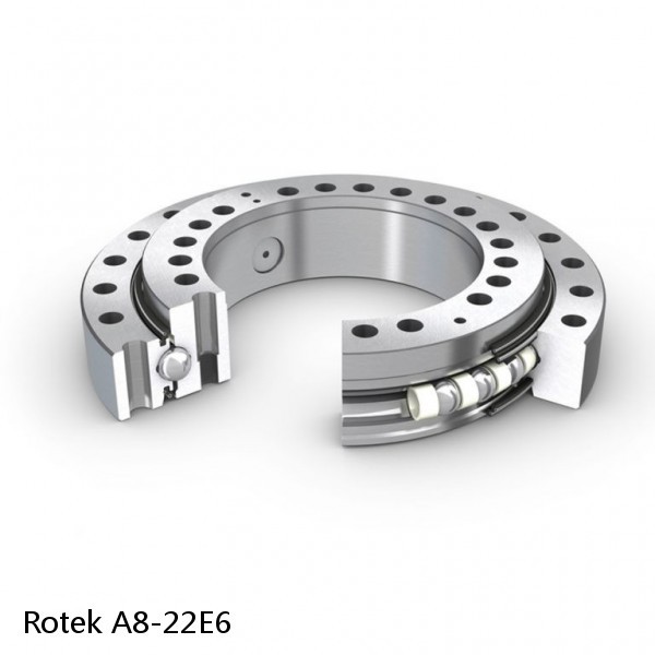 A8-22E6 Rotek Slewing Ring Bearings