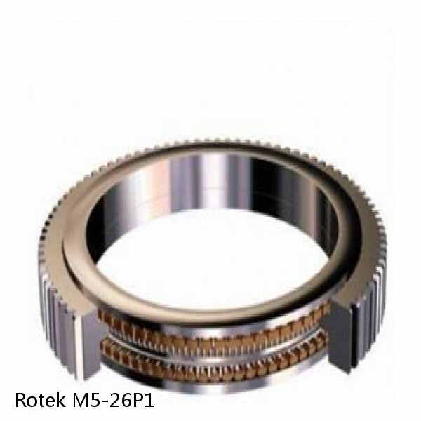 M5-26P1 Rotek Slewing Ring Bearings