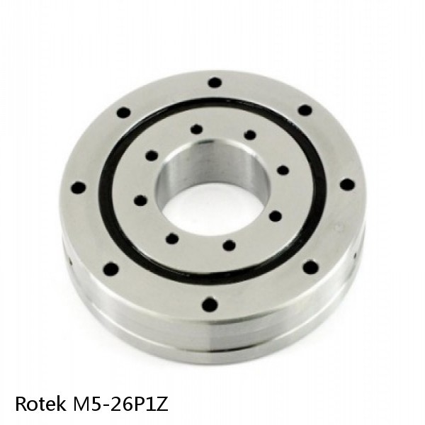 M5-26P1Z Rotek Slewing Ring Bearings