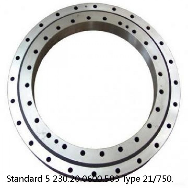 230.20.0600.503 Type 21/750. Standard 5 Slewing Ring Bearings