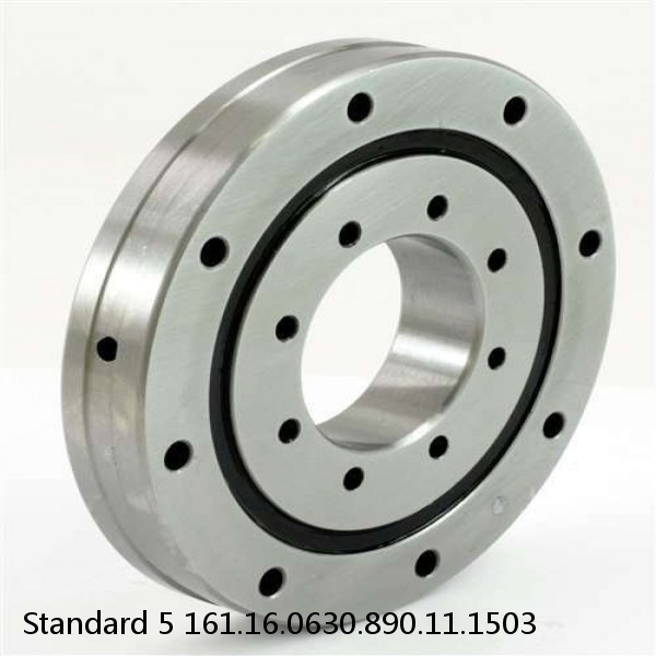 161.16.0630.890.11.1503 Standard 5 Slewing Ring Bearings