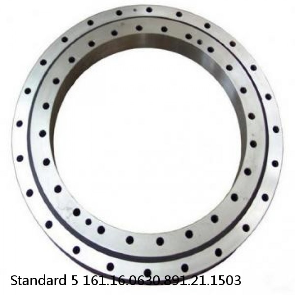 161.16.0630.891.21.1503 Standard 5 Slewing Ring Bearings