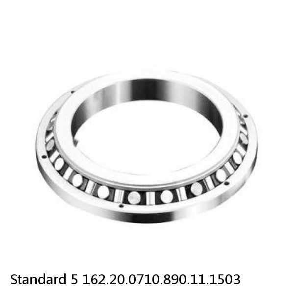 162.20.0710.890.11.1503 Standard 5 Slewing Ring Bearings