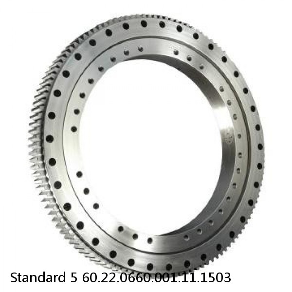 60.22.0660.001.11.1503 Standard 5 Slewing Ring Bearings