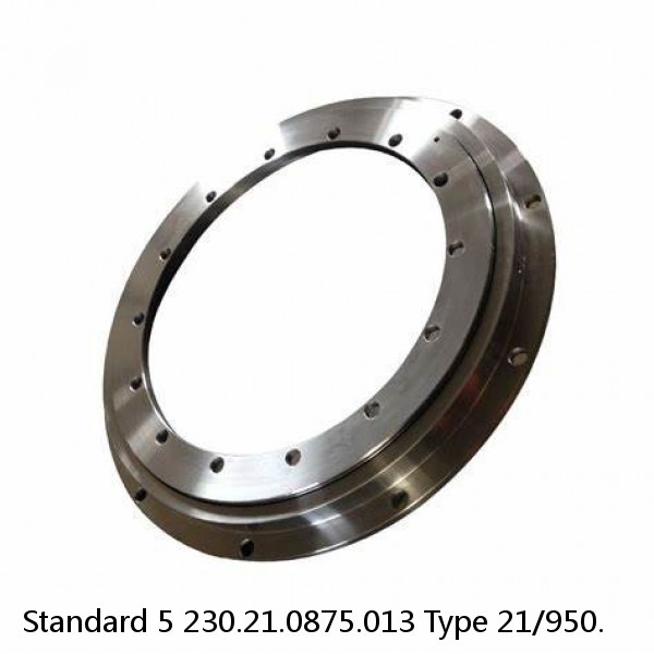 230.21.0875.013 Type 21/950. Standard 5 Slewing Ring Bearings