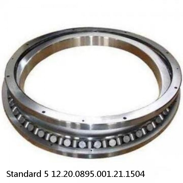 12.20.0895.001.21.1504 Standard 5 Slewing Ring Bearings