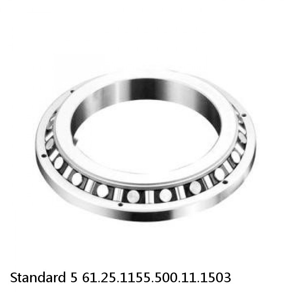 61.25.1155.500.11.1503 Standard 5 Slewing Ring Bearings