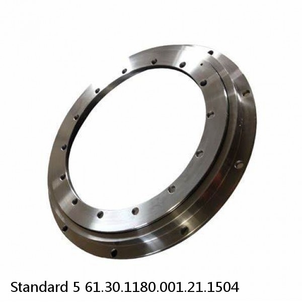 61.30.1180.001.21.1504 Standard 5 Slewing Ring Bearings