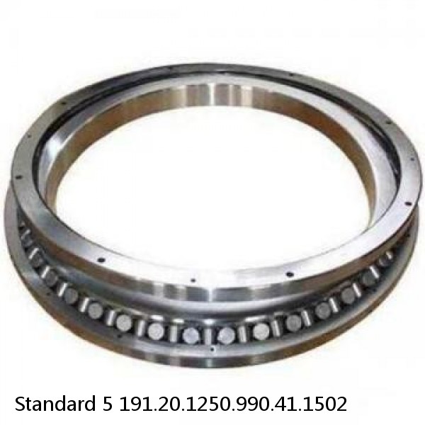 191.20.1250.990.41.1502 Standard 5 Slewing Ring Bearings