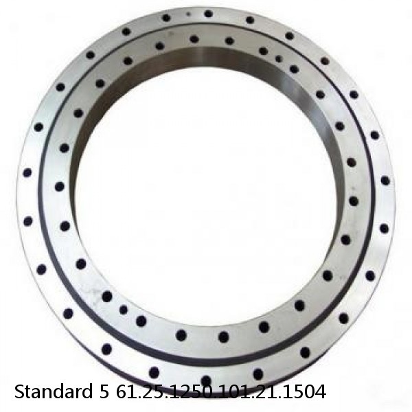 61.25.1250.101.21.1504 Standard 5 Slewing Ring Bearings