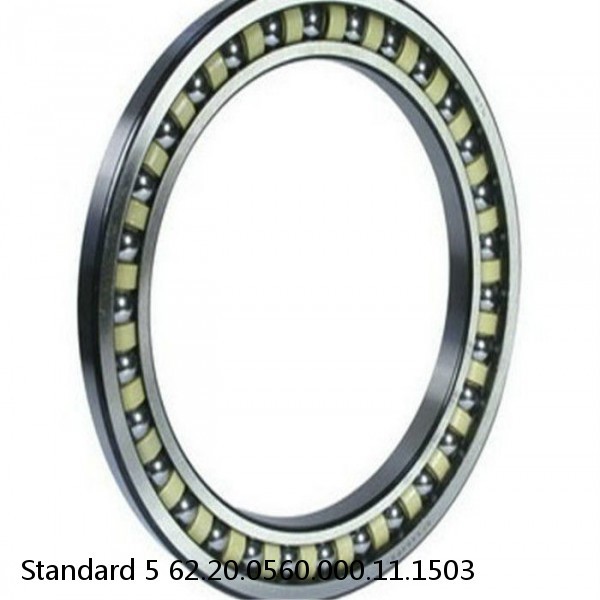 62.20.0560.000.11.1503 Standard 5 Slewing Ring Bearings