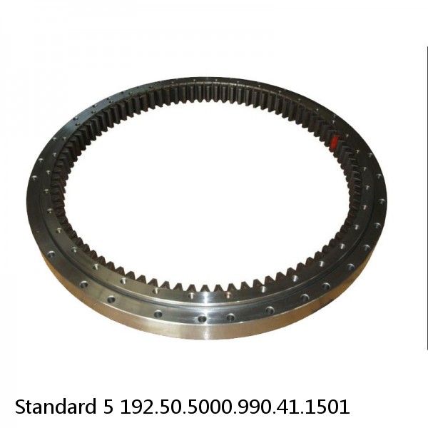 192.50.5000.990.41.1501 Standard 5 Slewing Ring Bearings