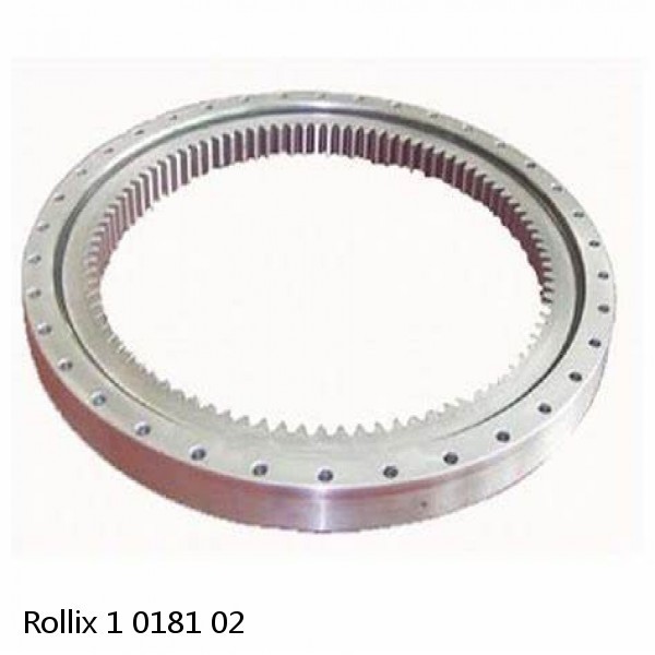 1 0181 02 Rollix Slewing Ring Bearings