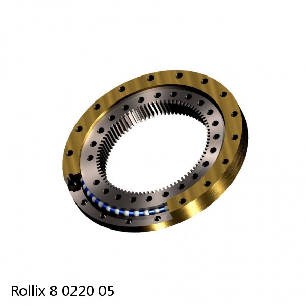 8 0220 05 Rollix Slewing Ring Bearings