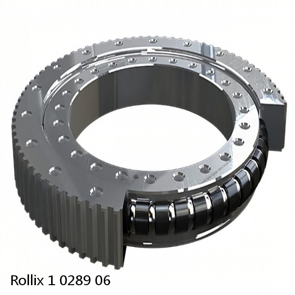 1 0289 06 Rollix Slewing Ring Bearings