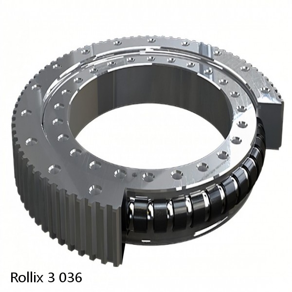 3 036 Rollix Slewing Ring Bearings