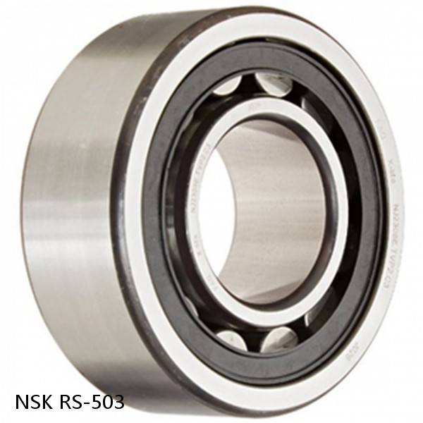 RS-503 NSK CYLINDRICAL ROLLER BEARING