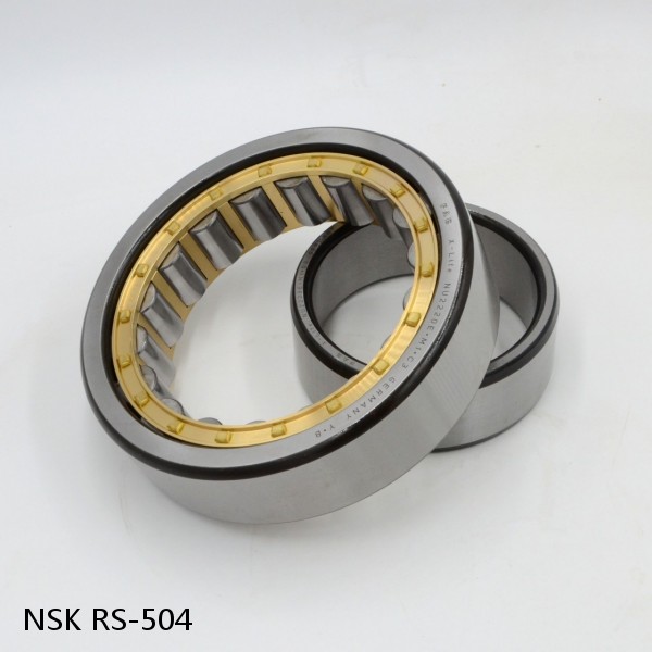 RS-504 NSK CYLINDRICAL ROLLER BEARING